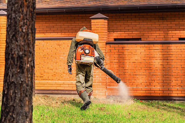 Trusted Bed Bug Control service in Syosset, NY - Nex Pest Control